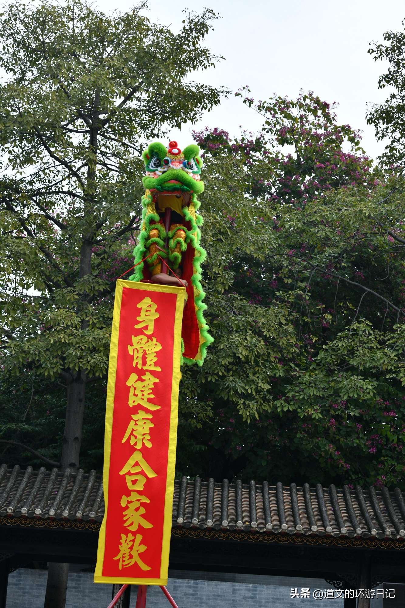 佛山黄飞鸿舞狮表演在哪里看,佛山黄飞鸿纪念馆舞狮表演感悟