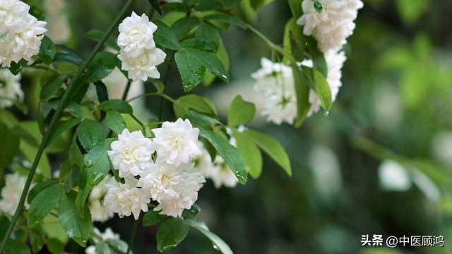 请勿乱用蒙脱石散遵医嘱用药,蒙脱石散有处方药和非处方药
