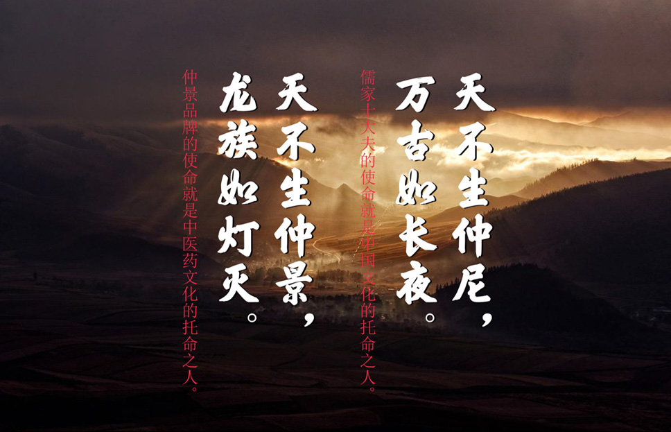 仲景牌系列产品,仲景系列中成药