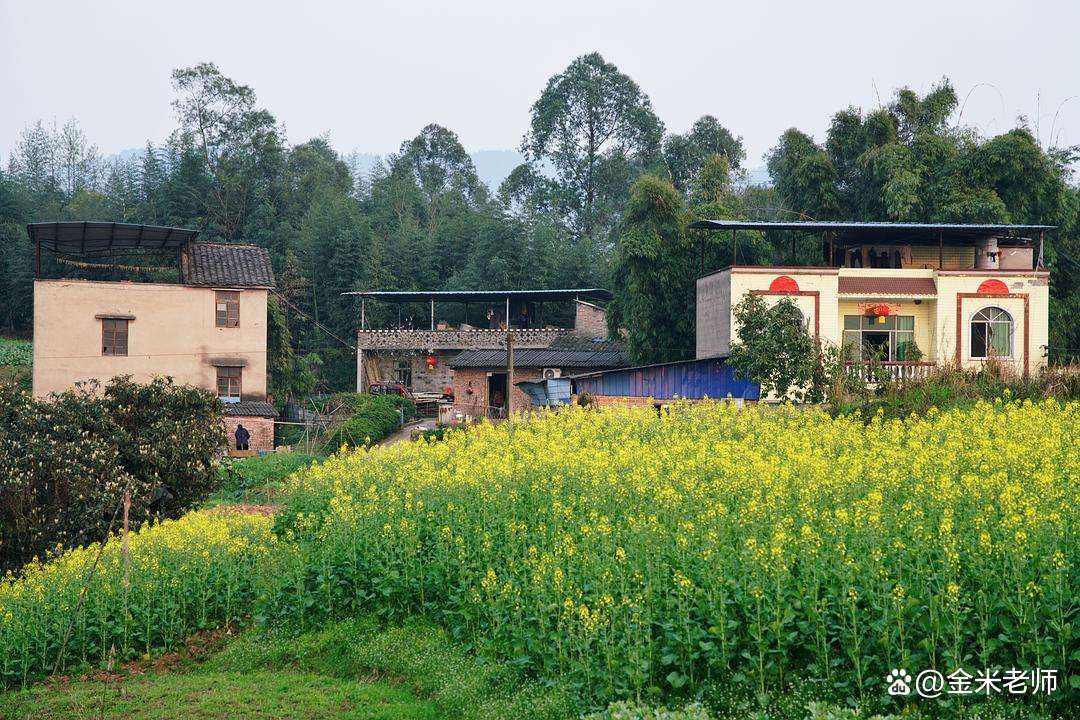 六种动物上家门是吉兆,好兆头三种动物进家门