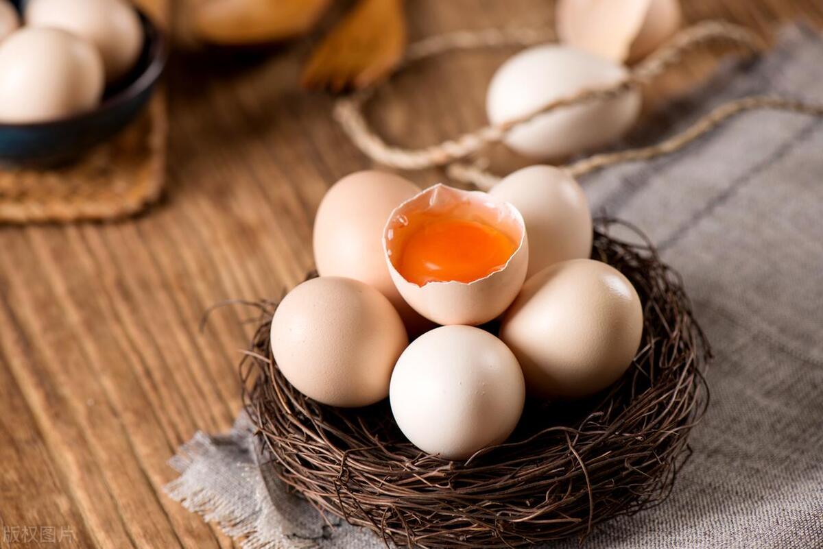 目前市场上最好的鸡蛋是哪个,鸡蛋买哪些比较放心吃