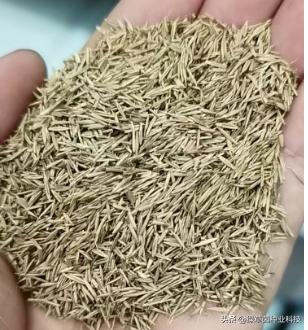 果园人工机械除草,果园机械除草松土神器