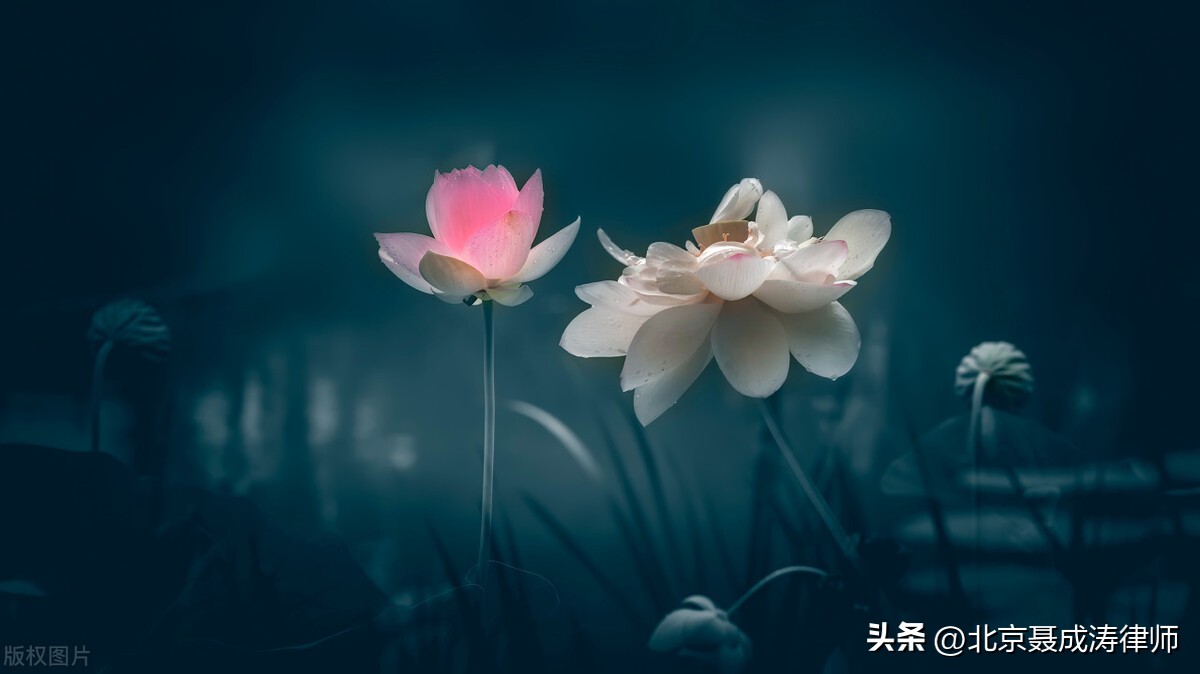 被网上骗了钱怎么追回,被网上投资骗了怎么办