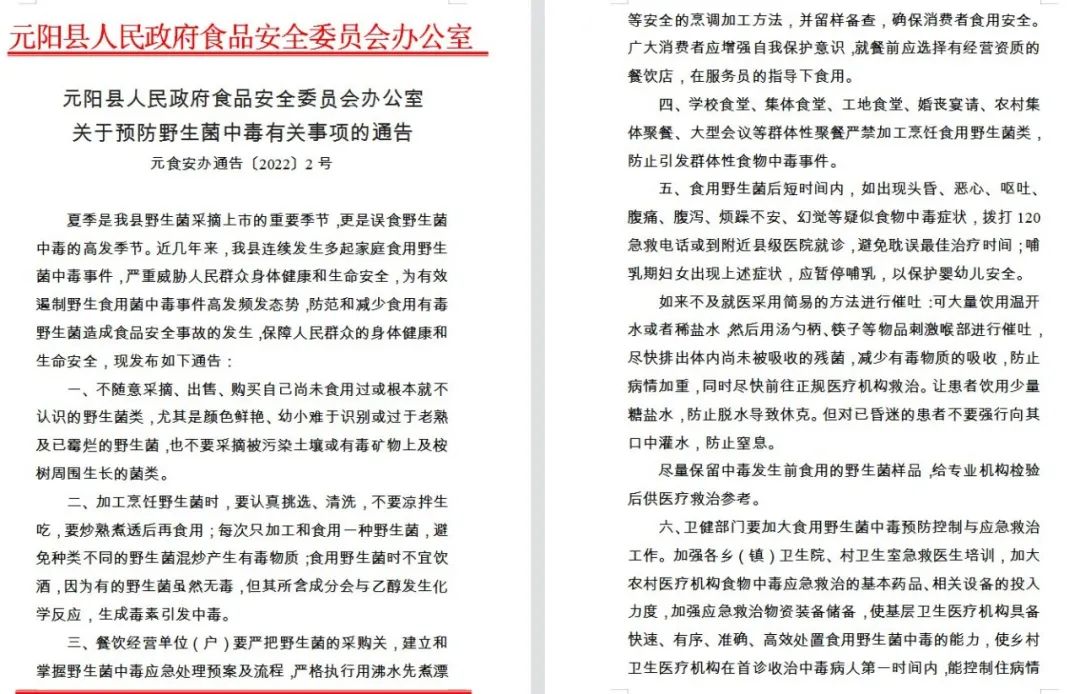 爱的魔力转圈圈蘑菇头,爱的魔力转圈圈彩虹伞