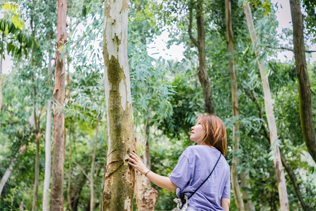 深圳最值得爬的景点,深圳十大最值得爬的山