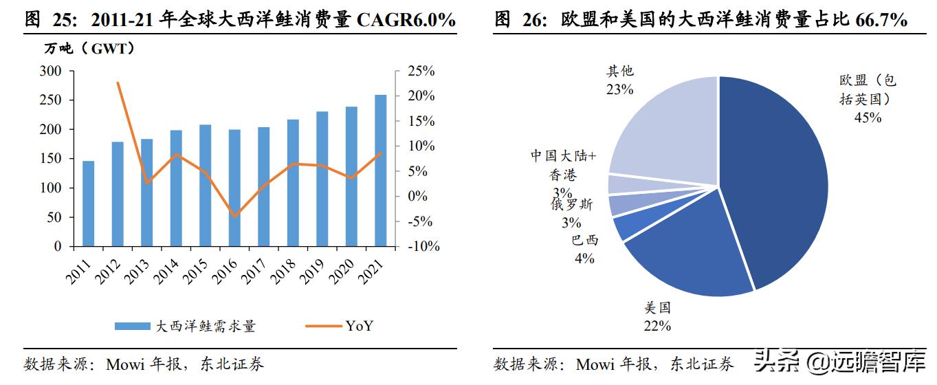 佳沃智利新三文鱼工厂,佳沃食品智利三文鱼