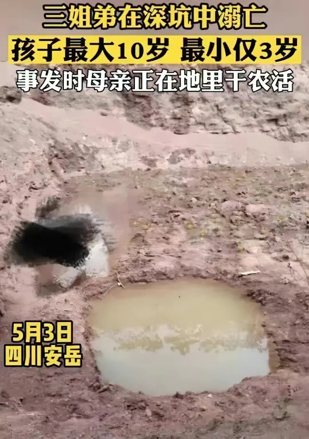 山姆回应男孩摔下购物车昏迷,深圳山姆小孩手推车坠落