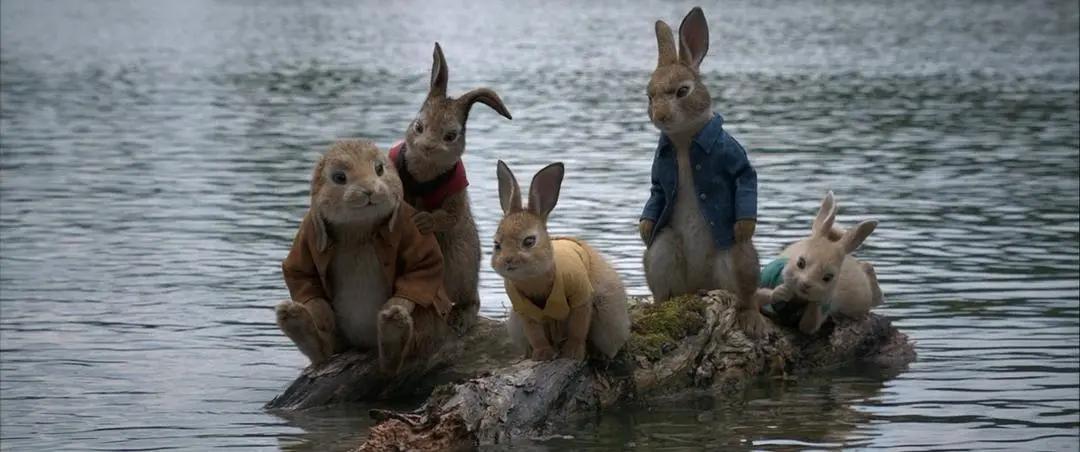 比得兔的故事书适合多大孩子看,比得兔儿童文学