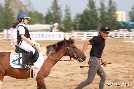 马术比赛最新消息,徐州市第二届青少年马术公开赛