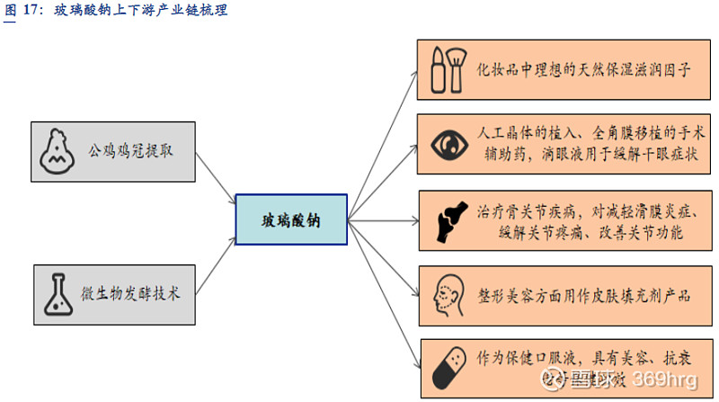 眼科用药的研究报告,眼科深度研究