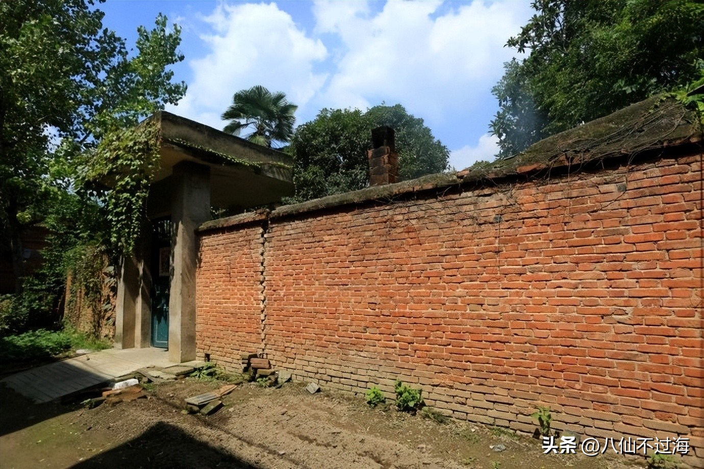 双11农产品电商,天猫双11种地