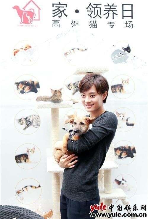 我在网店买三文鱼喂猫，结果被人网暴追骂两年，还造黄谣！