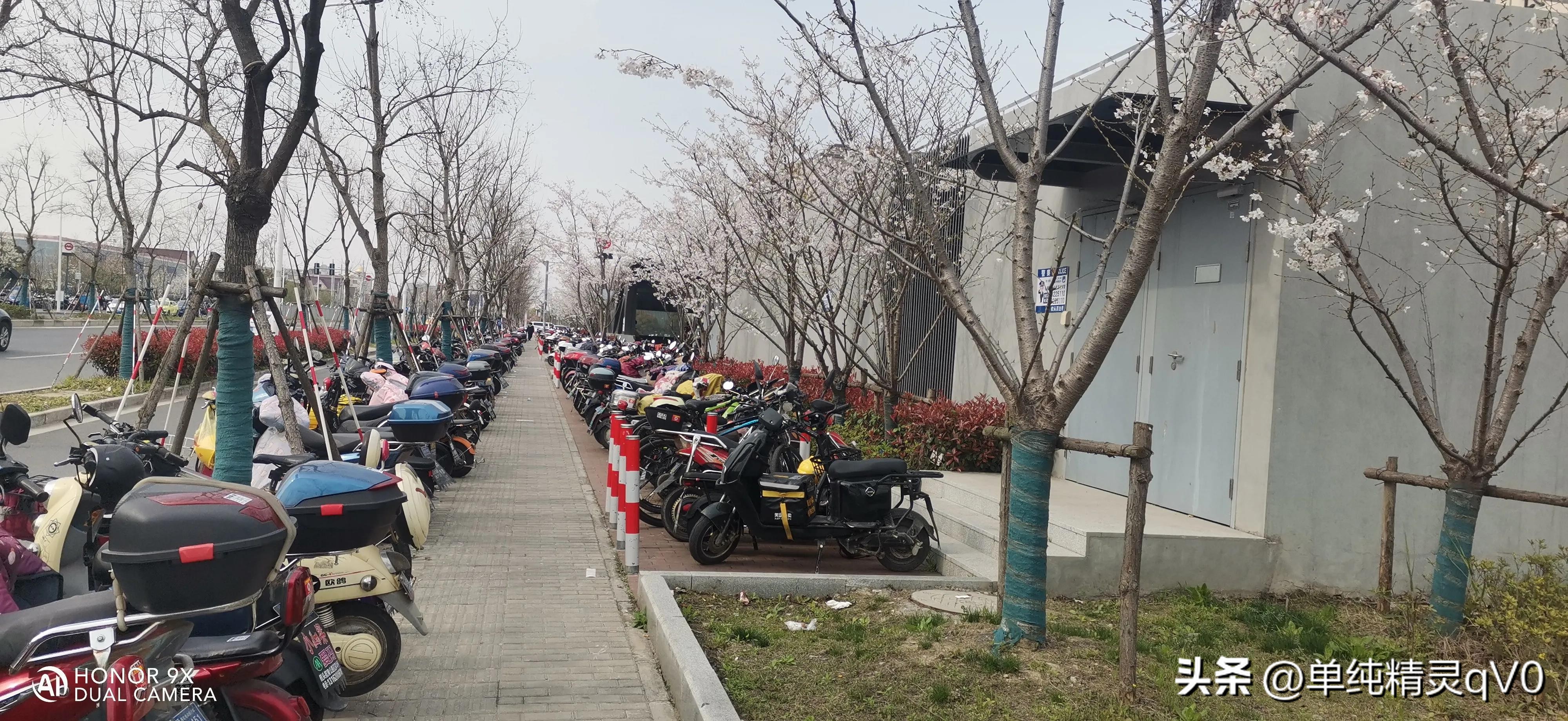 上海的治安为什么那么好,上海治安是不是全国最好的