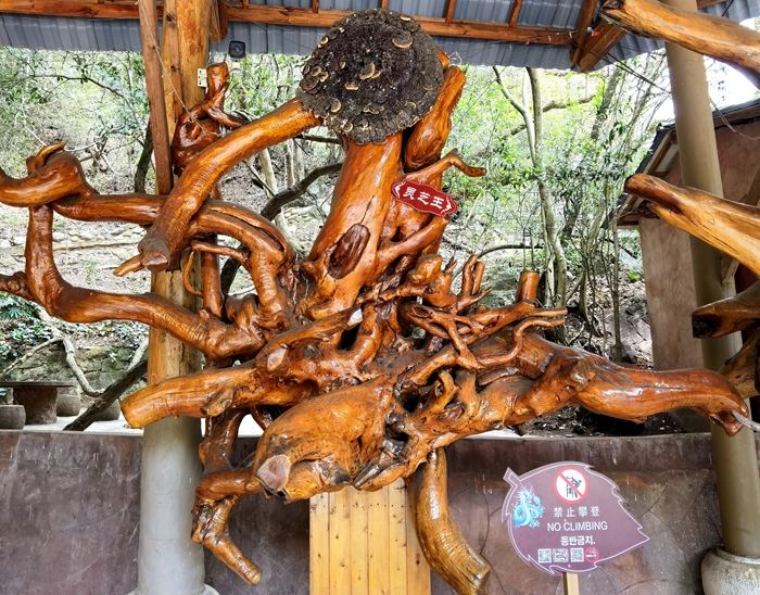 昆明青龙峡风景区路线,昆明青龙峡旅游航拍