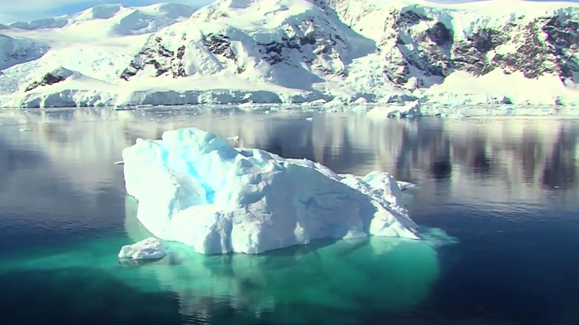 水母无法在冬天存活,水母不动了还能活吗