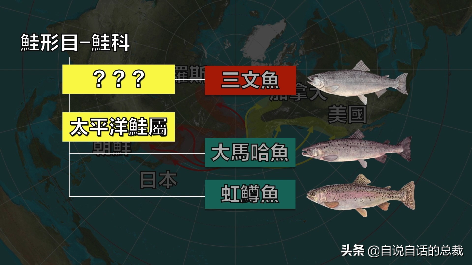 三文鱼水光真假分辨,哪种才是真正的三文鱼