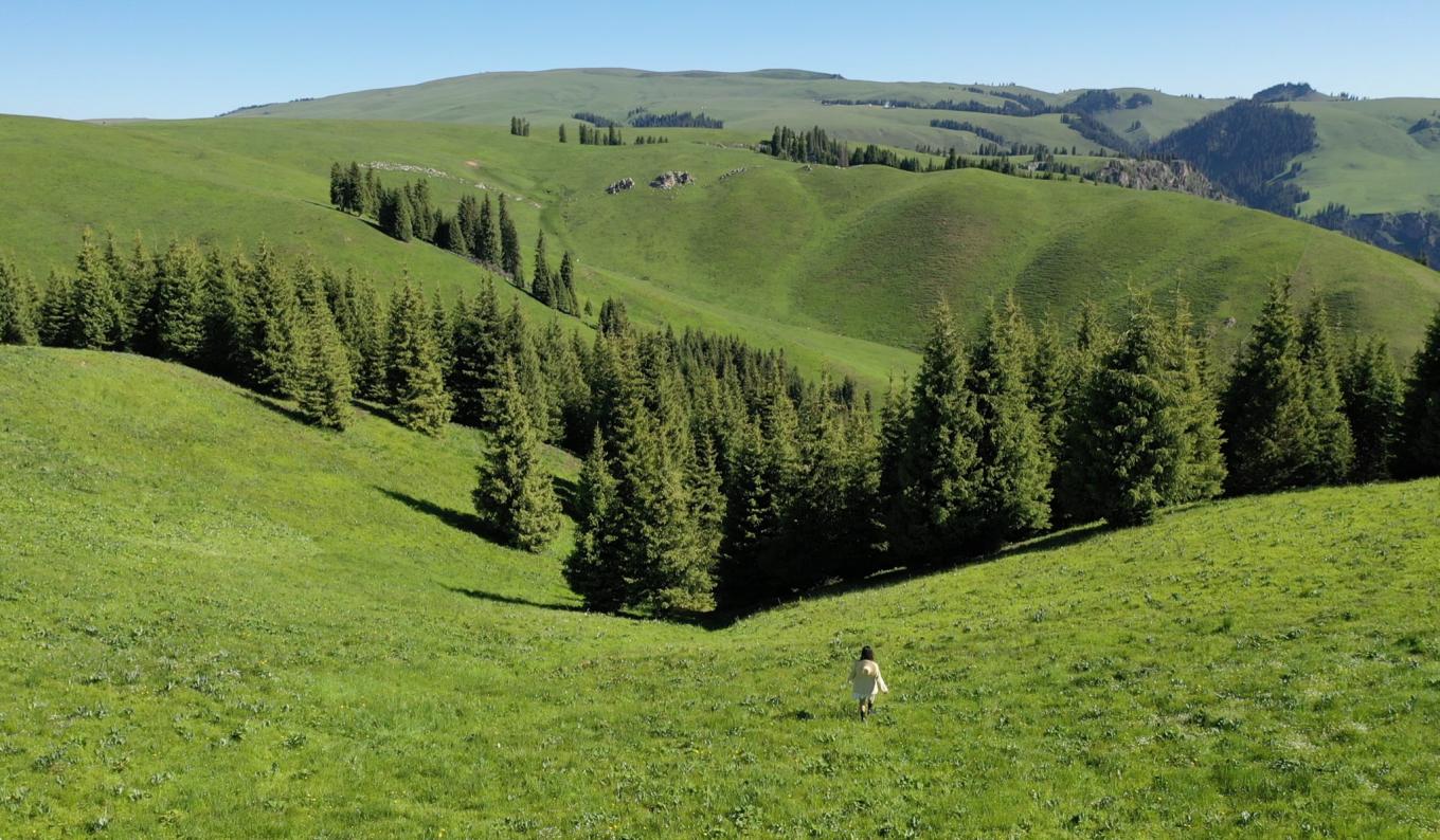 去新疆发现伊犁的美,世界之美尽在伊犁