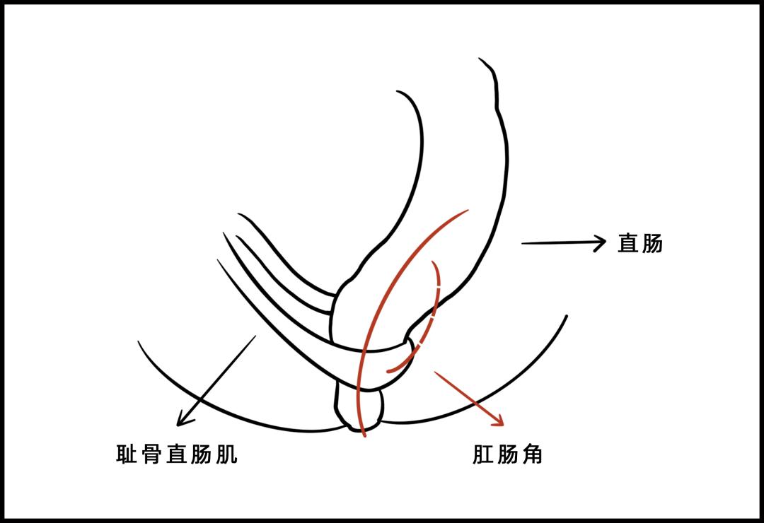 被公厕水溅到会得淋病吗,被公厕水溅到会感染吗