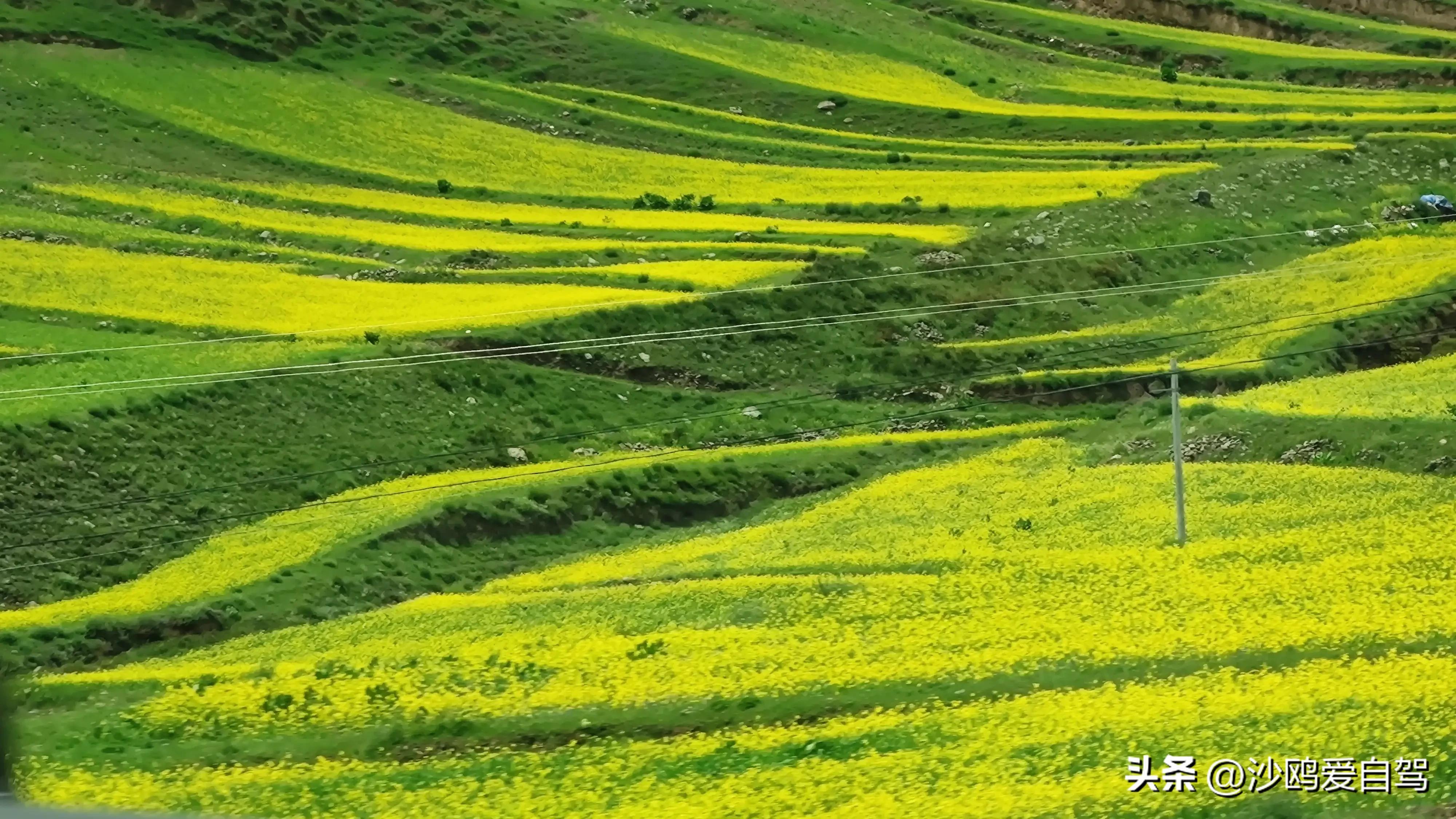 西藏自驾游三大圣湖,自驾西藏行摄之旅米堆冰川