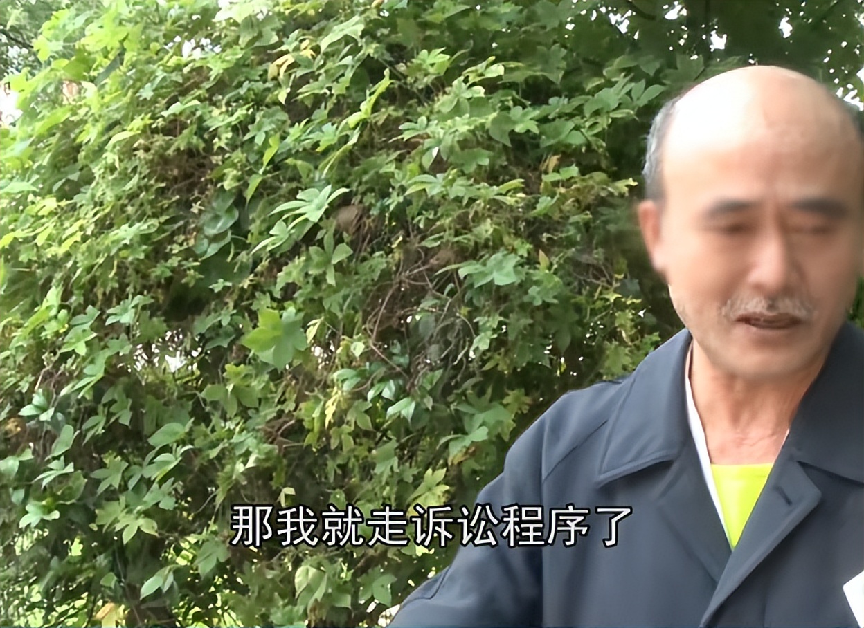 租的房子被租客改成民宿怎样赔偿,租的房子被租客改成民宿