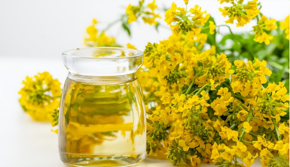 菜籽油为啥称之为劣质食用油,菜籽油含什么