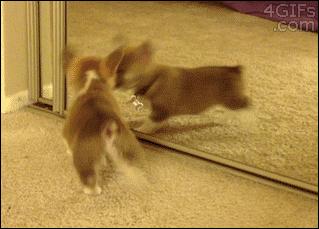 简短沙雕冷笑话,沙雕冷笑话故事