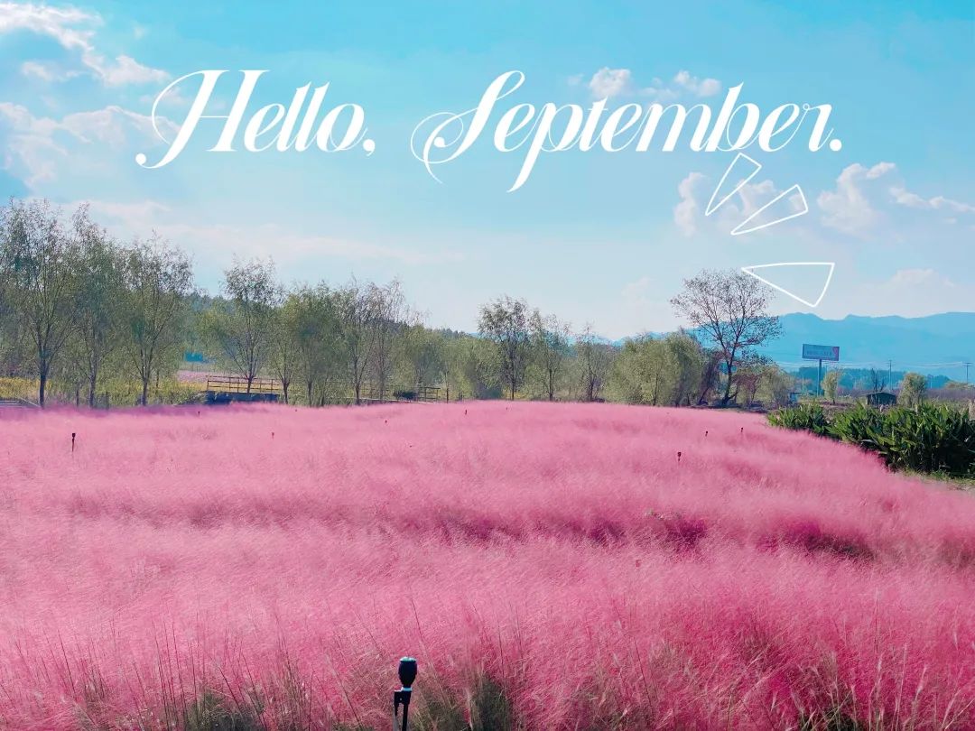 安徽黄山歙县旅游节,安徽人游黄山2017年