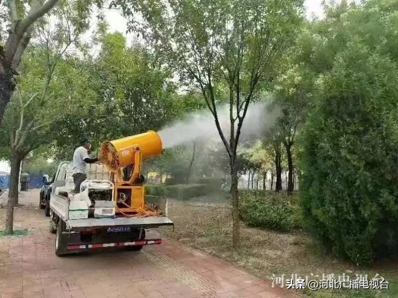 沧州战役视频,沧州战役