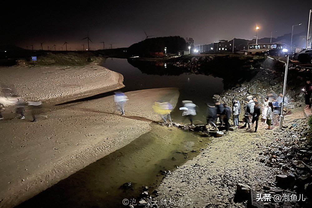 福建蓝眼泪奇观游玩攻略,福建蓝眼泪是哪个旅游景点