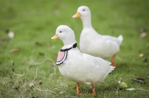 几个必玩地点,盘点最好玩的几个地方