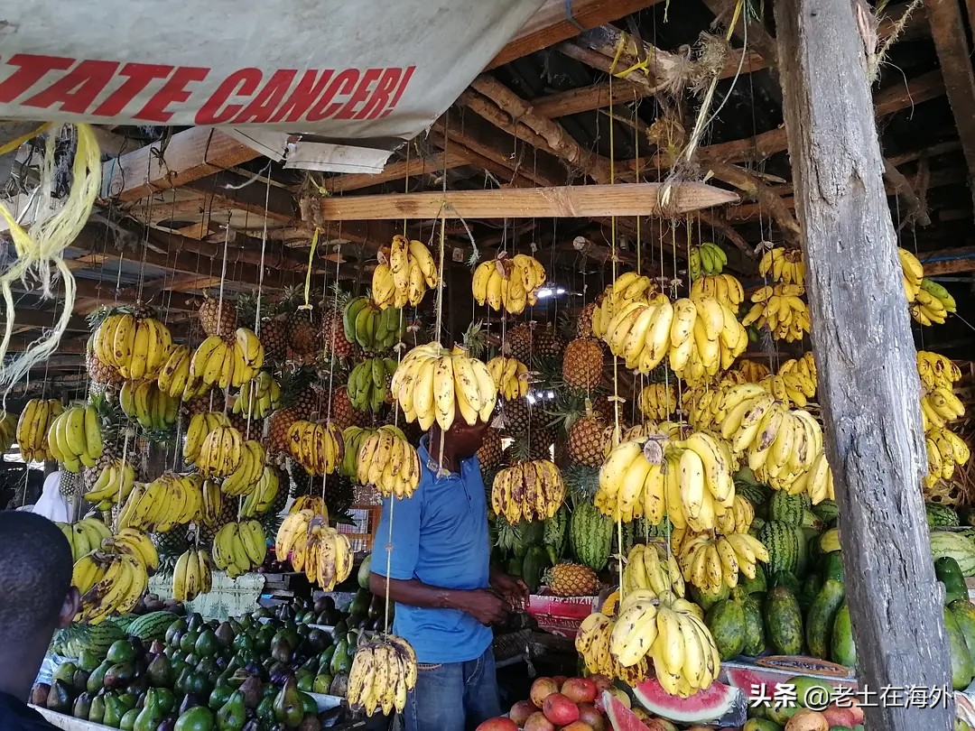 坦桑尼亚有什么特别的,坦桑尼亚是最不发达国家吗