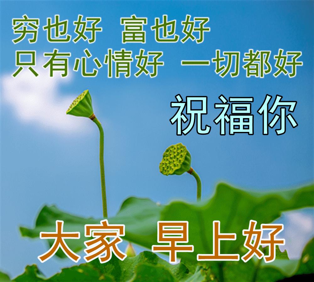 冬天早上祝福语最温馨的话图片,冬天早晨祝福语图片大全