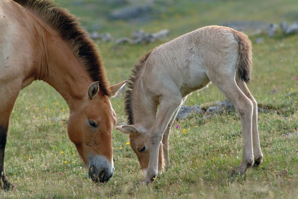 表达困难不容易的成语,表达非常困难句子