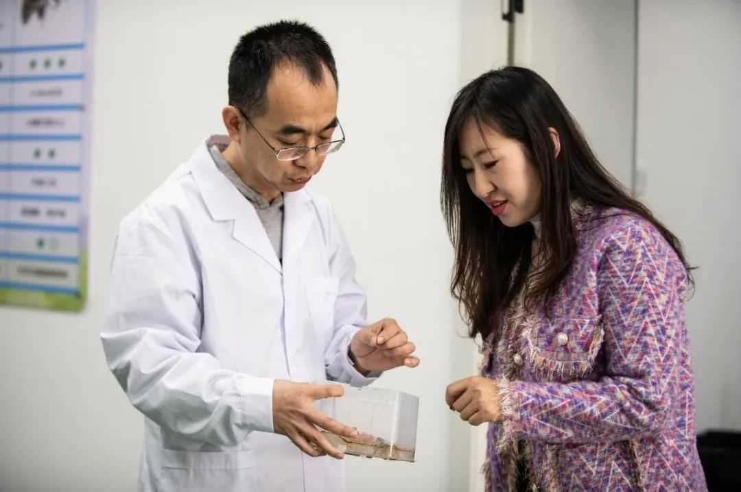 施足“金融底肥”，助力乡村振兴与高质量发展