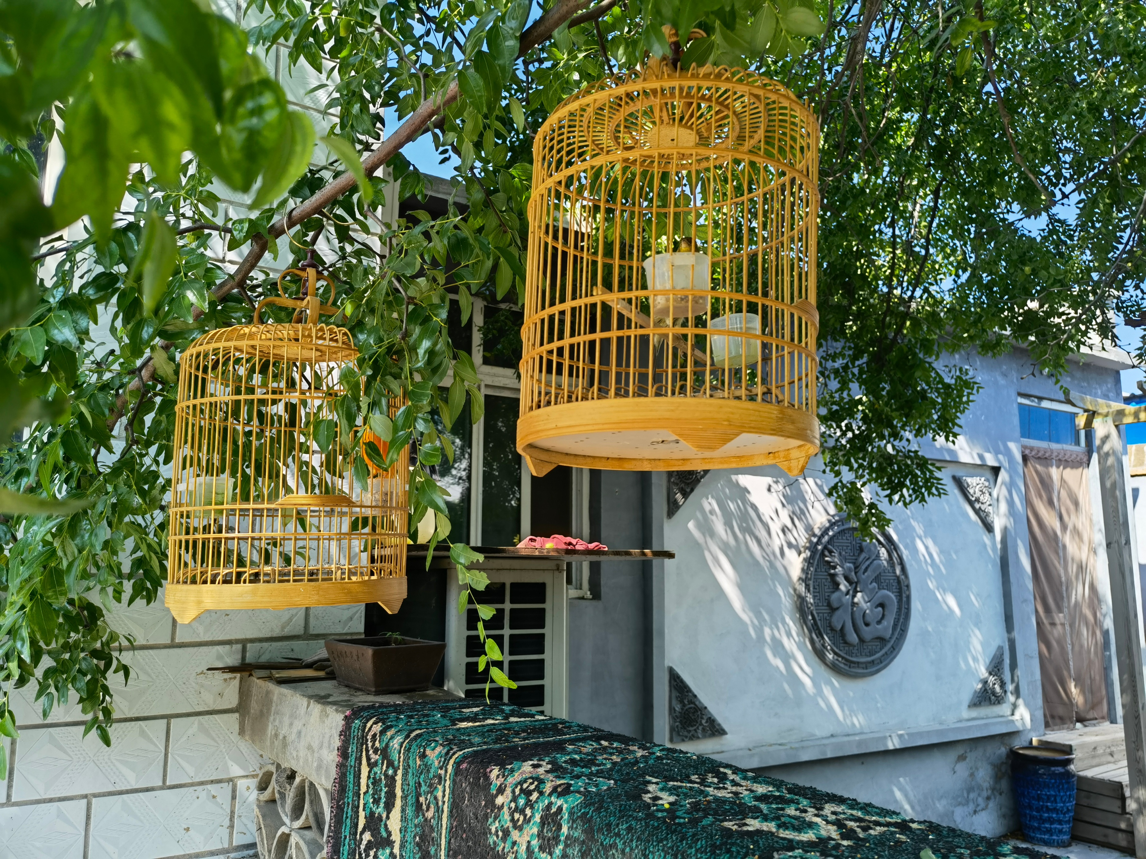 北京退休老人要通过去农村租房实现百万富翁的梦想，靠谱吗？