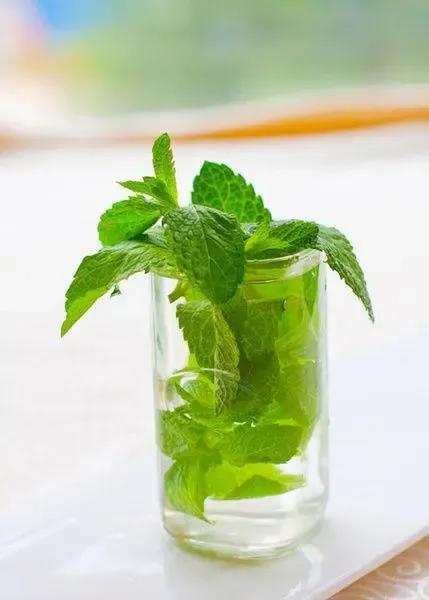 野薄荷留兰香薄荷,薄荷和留兰香哪个好吃