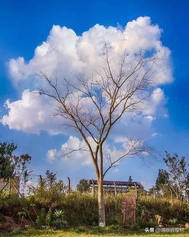 100张不可思议的巧合图片,就是这么巧20张巧合趣味照片