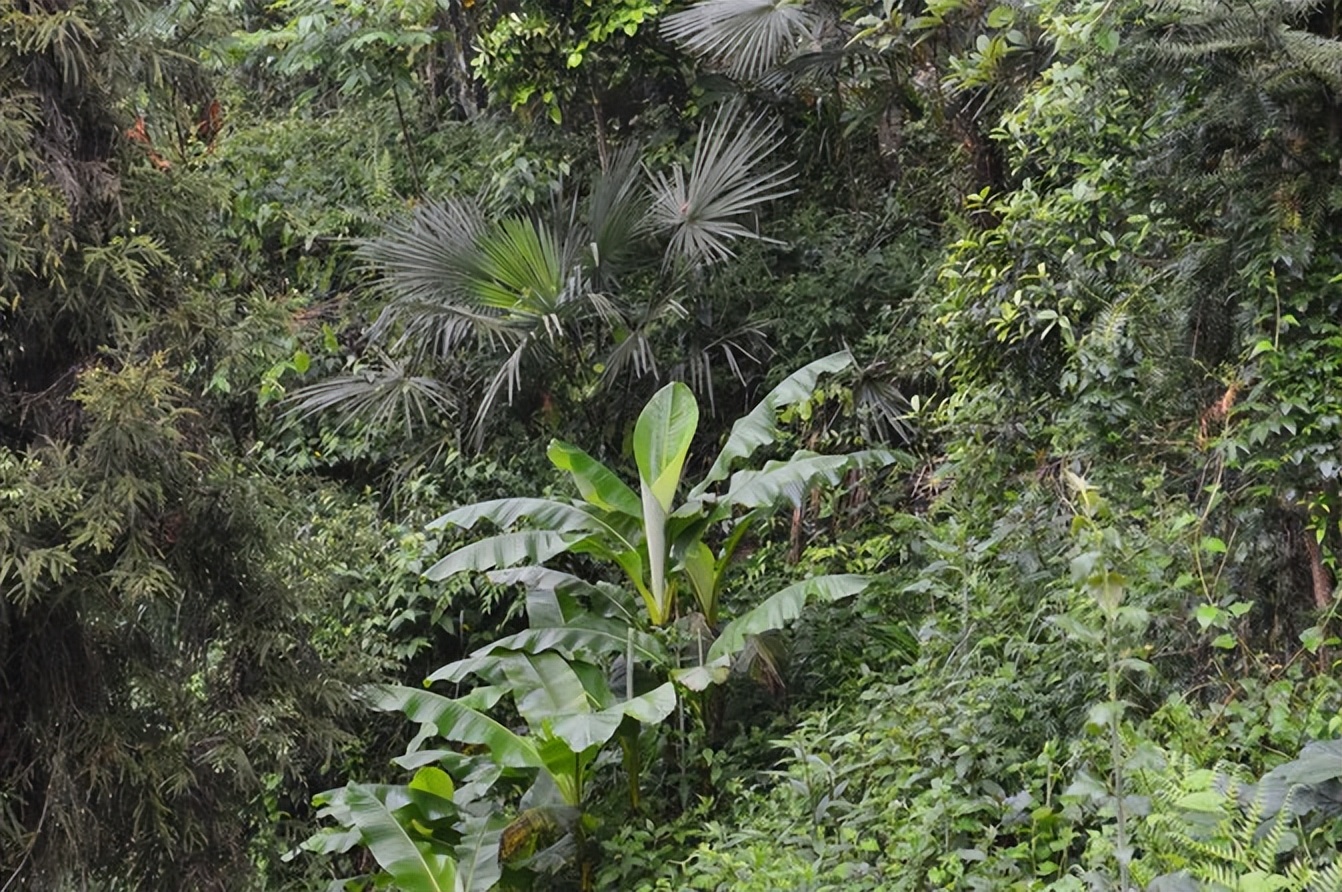 宣恩一座小城,湖北宣恩美丽的小城