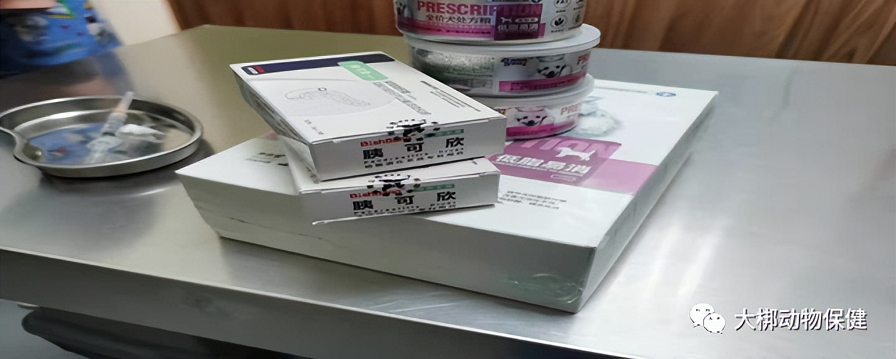 急性胰腺炎疑难病例讨论,狗狗为什么会得急性胰腺炎