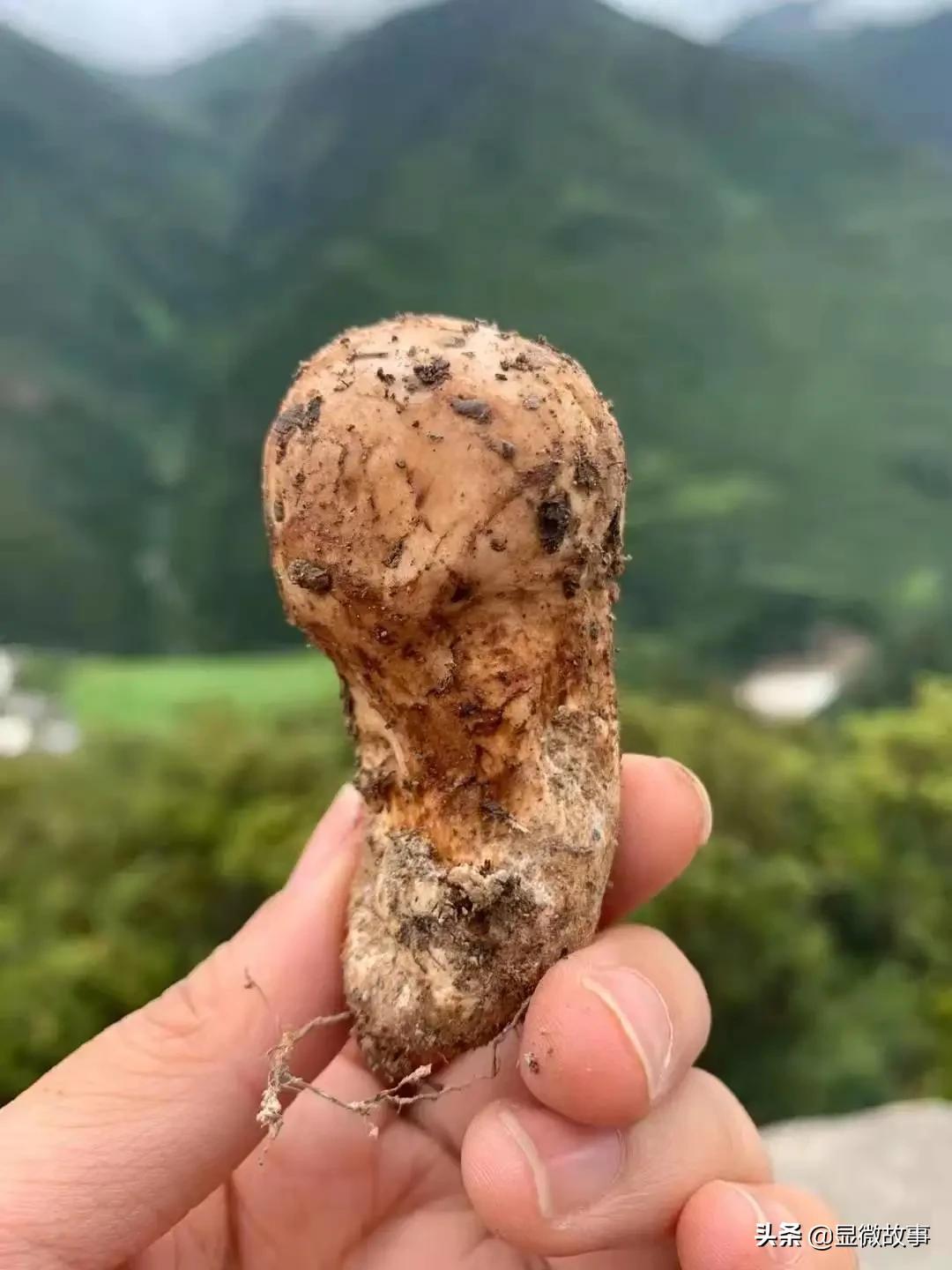 放弃年薪百万的工作去当农民,30岁了我放弃了国企的工作