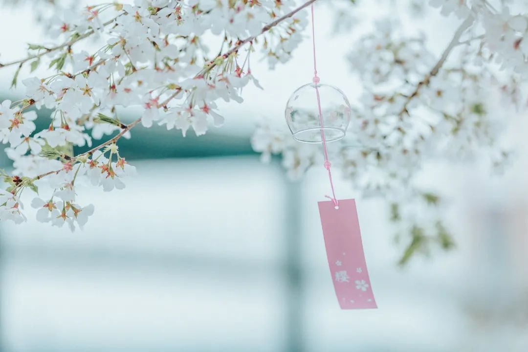 人情世故的经典古诗词,一首古诗写尽人情世故