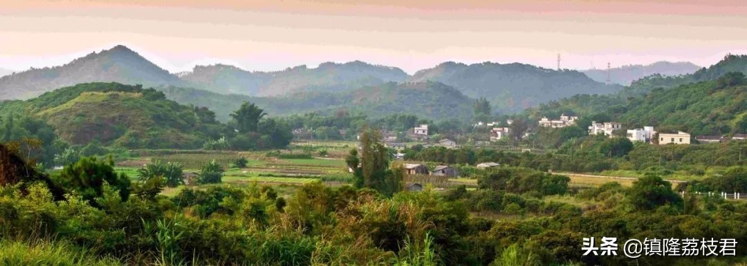 隆林美丽的家乡,镇隆家乡的风景