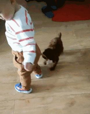 狗狗轻轻咬你的手需要制止嘛,狗狗一闻就咬你说明什么