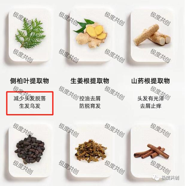 怎么推广叮当优品健康商城 (叮当优品健康商城合法吗)