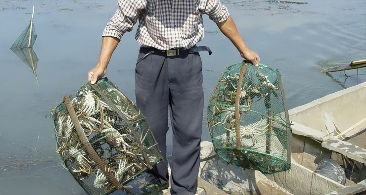 螃蟹的养殖方法和技术视频,野生山螃蟹养殖技术