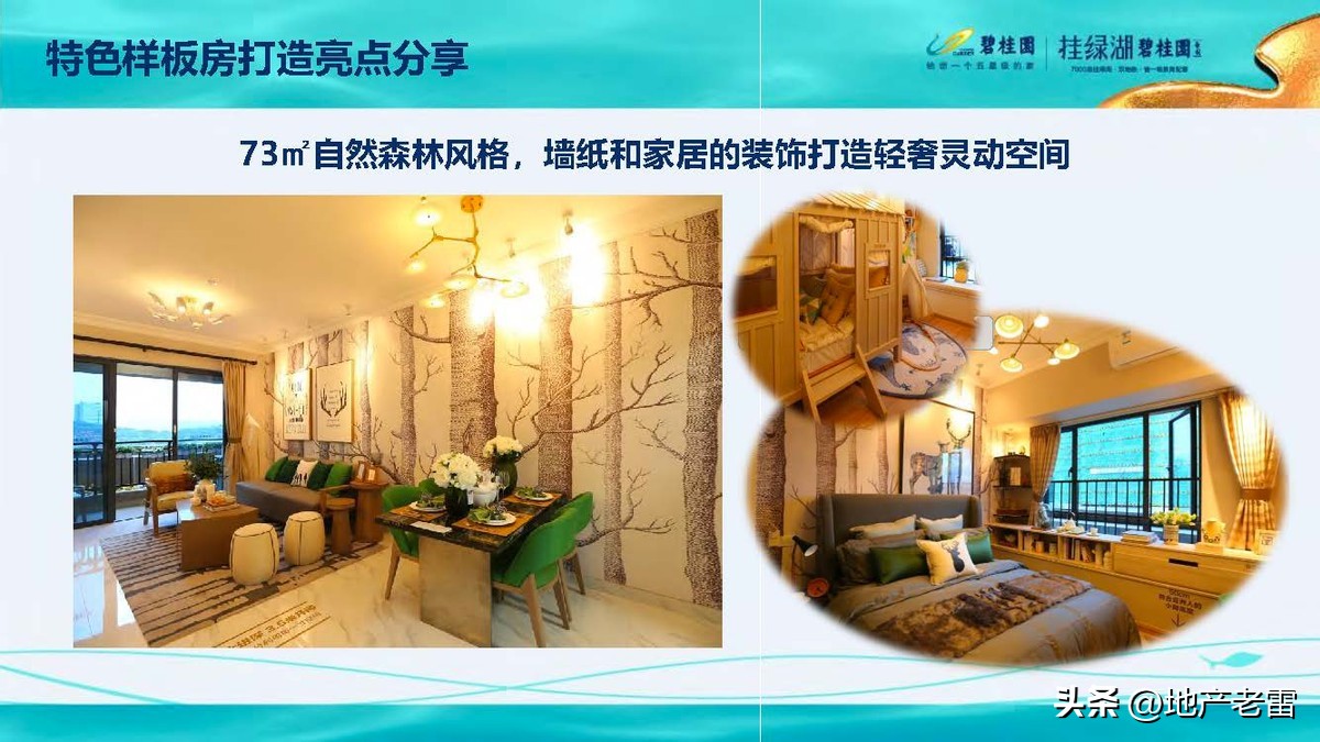 碧桂园精准发展方案,碧桂园的商品房改造方案