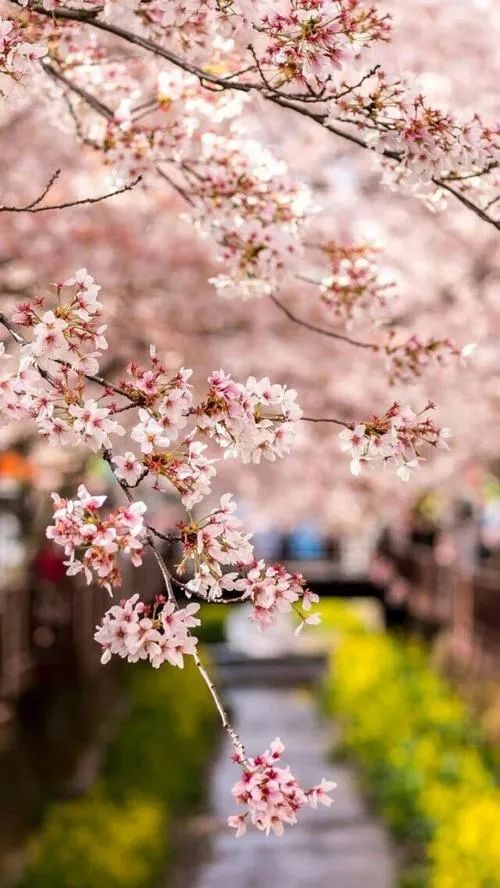 最好的三月三,三月意境最美的古诗词