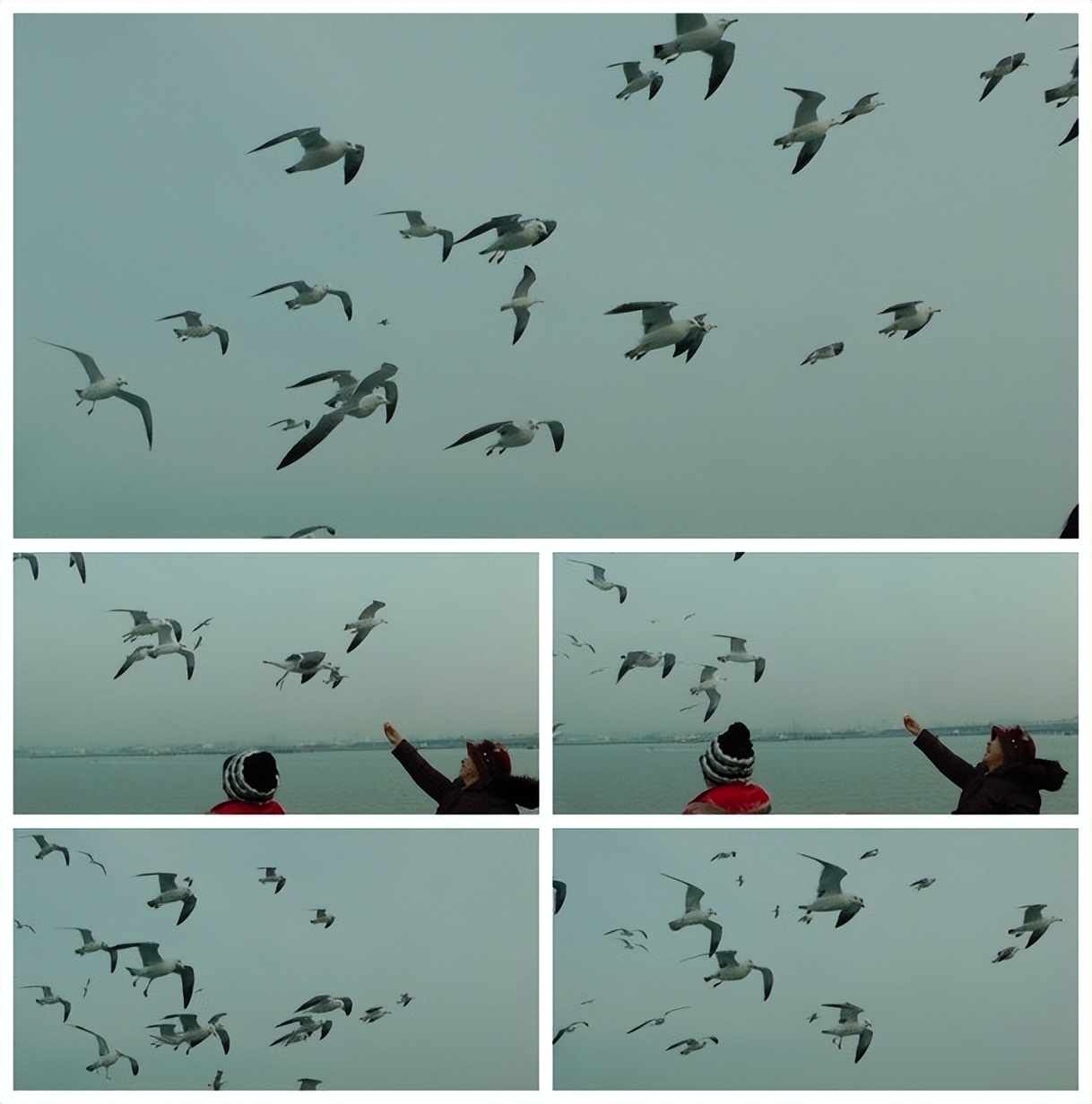 2014年 G 韩国行12. 景福宫