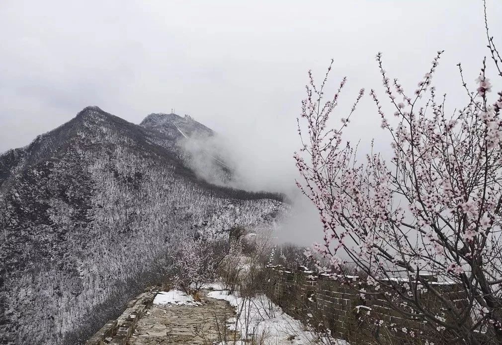 100首关于春的古诗词美到令人窒息,关于描写春的经典古诗词