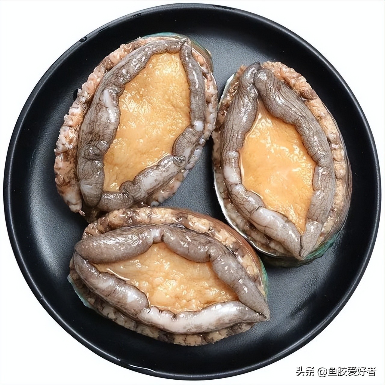 【技术贴】买鲍鱼一定要学会看这几点！